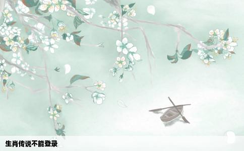 生肖传说不能登录