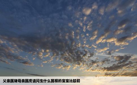 父亲属猪母亲属虎请问生什么属相的宝宝比较和