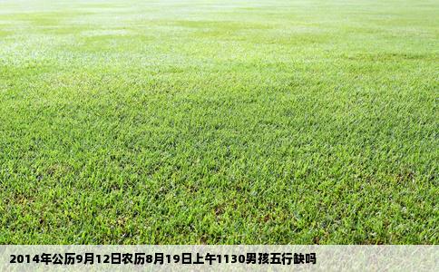 2014年公历9月12日农历8月19日上午1130男孩五行缺吗