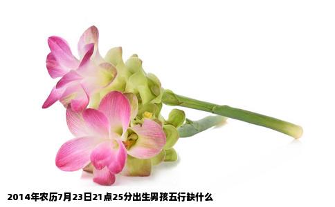 2014年农历7月23日21点25分出生男孩五行缺什么