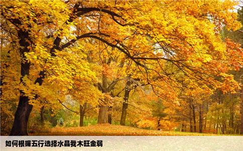 如何根据五行选择水晶我木旺金弱