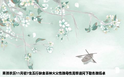 男孩农历11月初7生五行缺金喜神火父性魏母性周想请问下取名魏钰卓