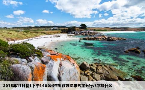 2015年11月初1下午1400出生男孩姓沈求名字五行八字缺什么