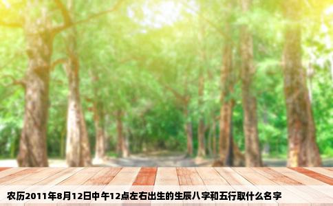 农历2011年8月12日中午12点左右出生的生辰八字和五行取什么名字