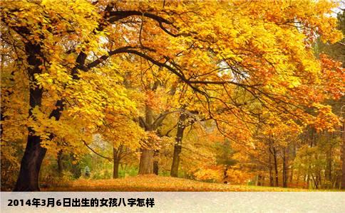 2014年3月6日出生的女孩八字怎样