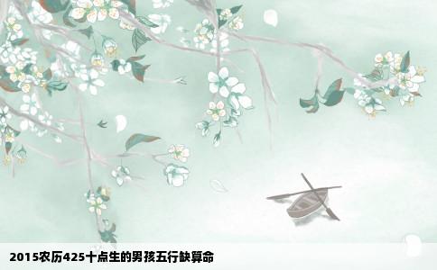 2015农历425十点生的男孩五行缺算命
