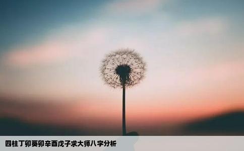 四柱丁卯葵卯辛酉戊子求大师八字分析