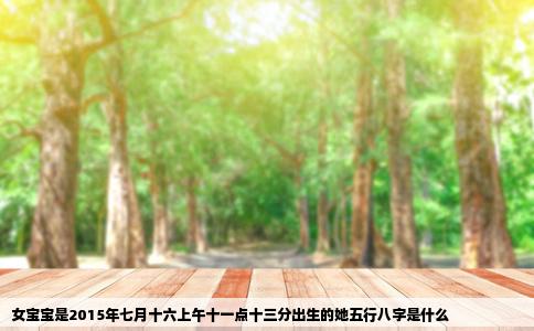 女宝宝是2015年七月十六上午十一点十三分出生的她五行八字是什么