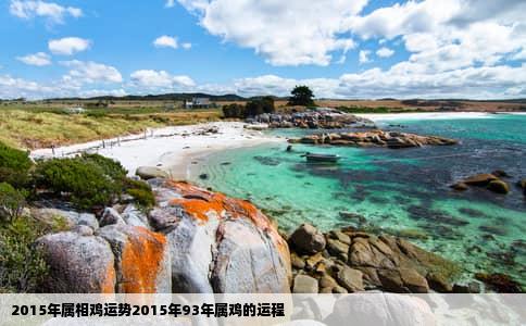 2015年属相鸡运势2015年93年属鸡的运程