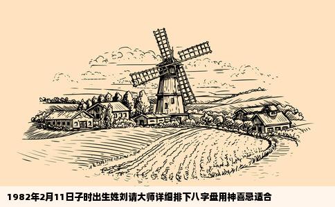 1982年2月11日子时出生姓刘请大师详细排下八字盘用神喜忌适合