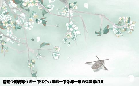 请哪位师傅帮忙看一下这个八字看一下今年一年的运势详细点