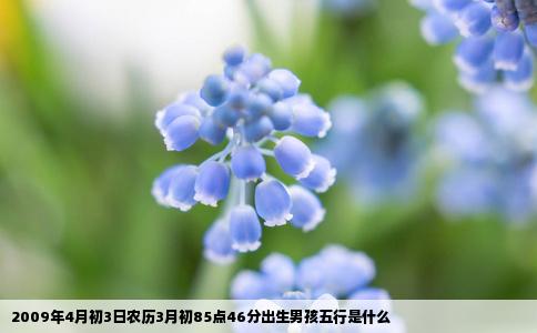 2009年4月初3日农历3月初85点46分出生男孩五行是什么