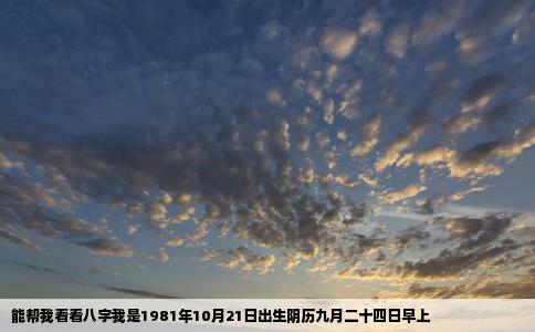 能帮我看看八字我是1981年10月21日出生阴历九月二十四日早上