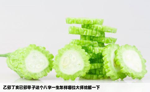 乙卯丁亥已卯甲子这个八字一生怎样哪位大师给解一下