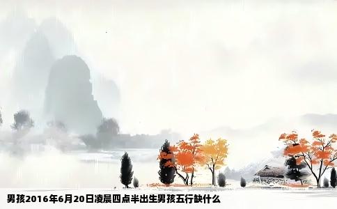男孩2016年6月20日凌晨四点半出生男孩五行缺什么