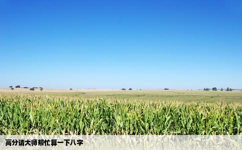 高分请大师帮忙算一下八字