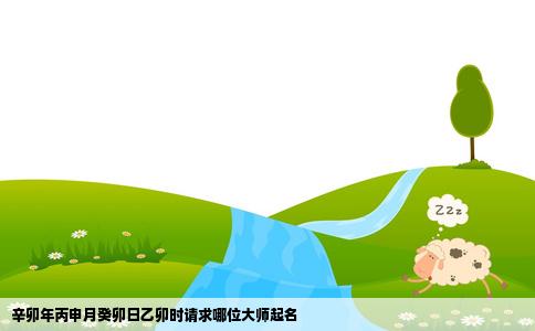 辛卯年丙申月癸卯日乙卯时请求哪位大师起名
