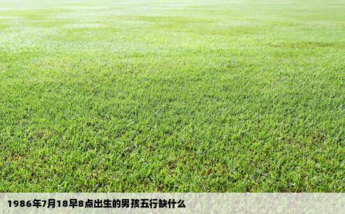 1986年7月18早8点出生的男孩五行缺什么