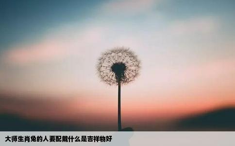 大师生肖兔的人要配戴什么是吉祥物好