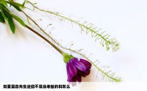 如果算命先生说你不是当老板的料怎么