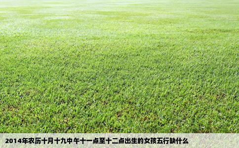 2014年农历十月十九中午十一点至十二点出生的女孩五行缺什么