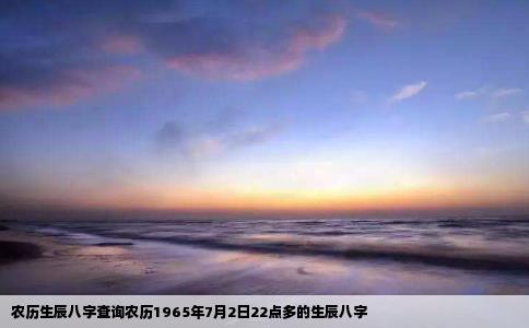 农历生辰八字查询农历1965年7月2日22点多的生辰八字