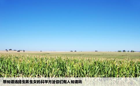 想知道选择生男生女的科学方法你们有人知道吗