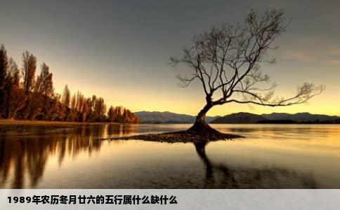 1989年农历冬月廿六的五行属什么缺什么