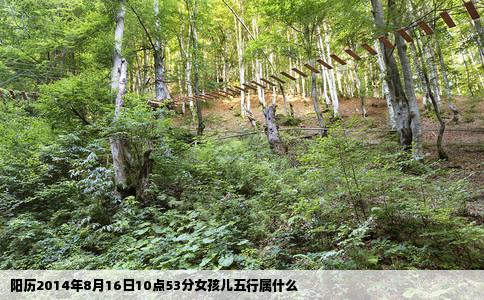 阳历2014年8月16日10点53分女孩儿五行属什么