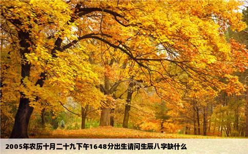 2005年农历十月二十九下午1648分出生请问生辰八字缺什么