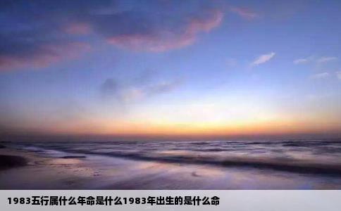 1983五行属什么年命是什么1983年出生的是什么命