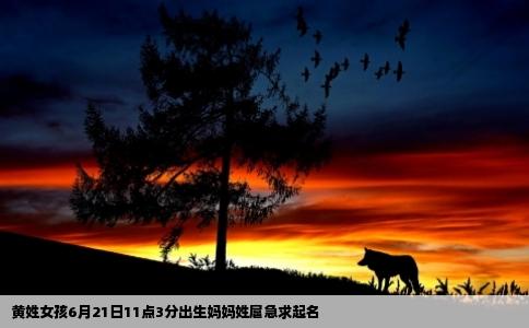 黄姓女孩6月21日11点3分出生妈妈姓扈急求起名