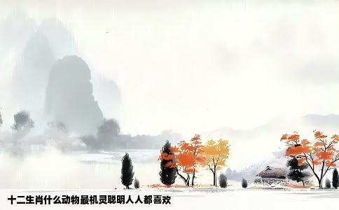 十二生肖什么动物最机灵聪明人人都喜欢