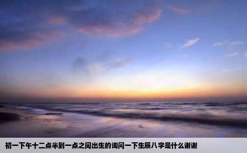 初一下午十二点半到一点之间出生的询问一下生辰八字是什么谢谢
