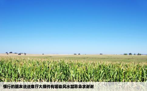 懂行的朋友说说客厅大摆件有哪些风水禁忌急求谢谢