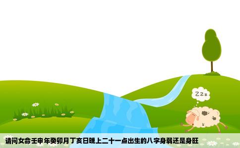 请问女命壬申年癸卯月丁亥日晚上二十一点出生的八字身弱还是身旺