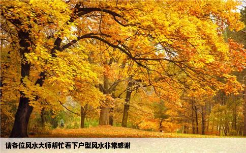 请各位风水大师帮忙看下户型风水非常感谢