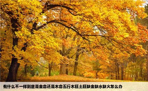 有什么不一样到底是金命还是木命五行木旺土旺缺金缺水缺火怎么办