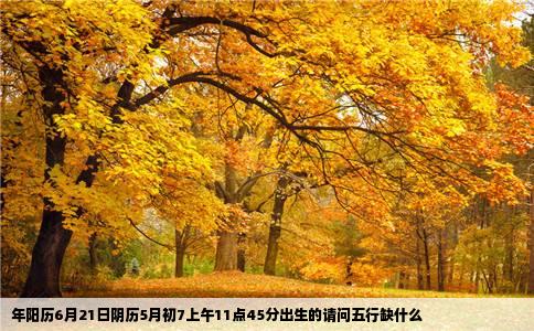 年阳历6月21日阴历5月初7上午11点45分出生的请问五行缺什么