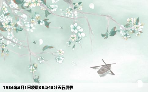 1986年6月1日凌晨05点48分五行属性