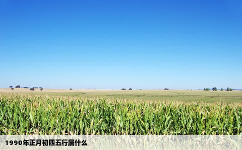 1990年正月初四五行属什么