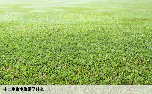 十二生肖电影写了什么