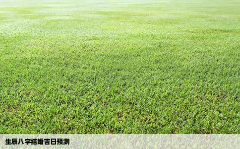 生辰八字结婚吉日预测