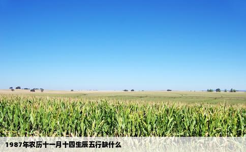 1987年农历十一月十四生辰五行缺什么