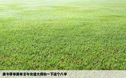 庚午甲申庚申壬午女请大师批一下这个八字