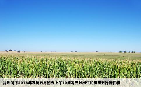 我想问下2018年农历五月初五上午10点零三分出生的宝宝五行属性和
