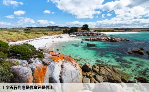 玥字五行到底是属金还是属土