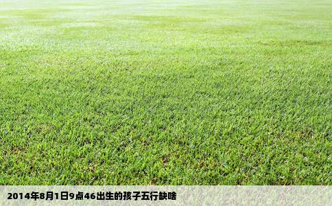 2014年8月1日9点46出生的孩子五行缺啥