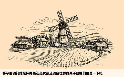 怀孕的请问她是怀男孩还是女孩还请各位算命高手帮我们给算一下吧