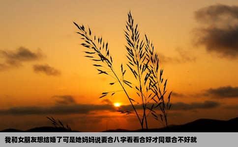 我和女朋友想结婚了可是她妈妈说要合八字看看合好才同意合不好就